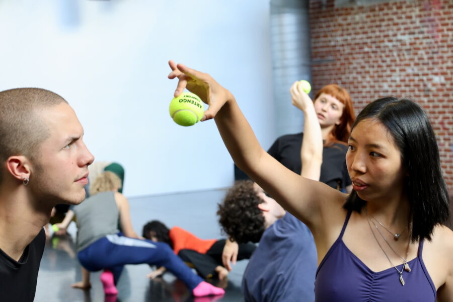 IMG 4948