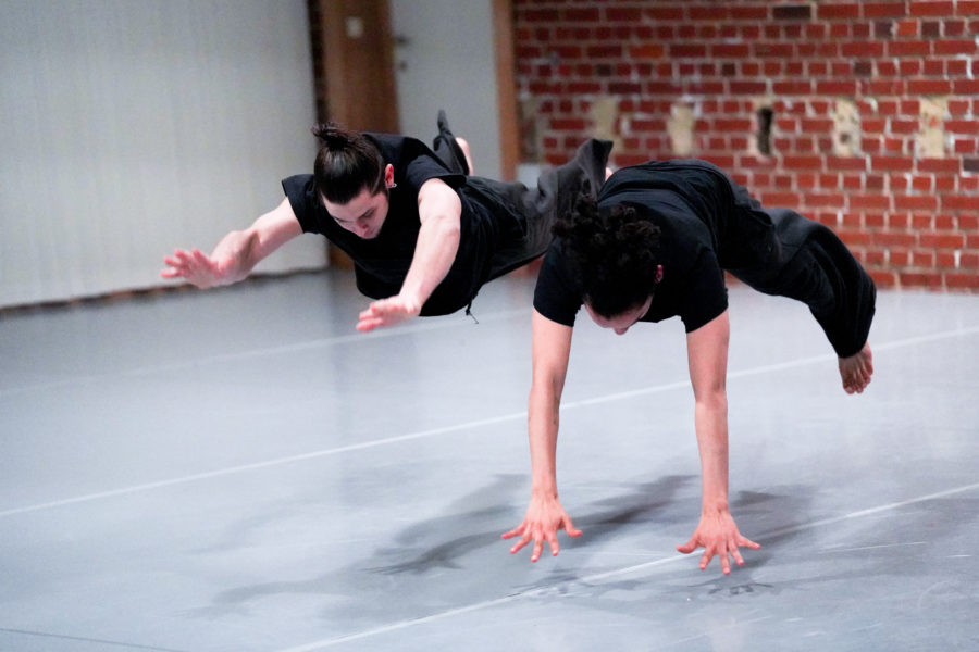PARTS WORK2-26.01.2020-photo-Olympe-Tits PARTS WORK2-26.01.2020-photo-Olympe-Tits